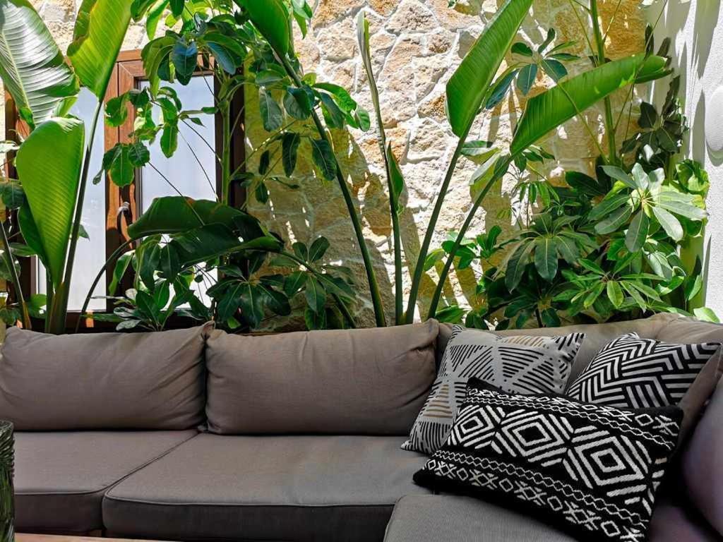 Casa Rural Albireo rebosante de luz y naturaleza Sanlúcar de Guadiana Exterior foto